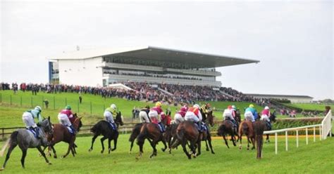 Limerick Racecards & Entries .